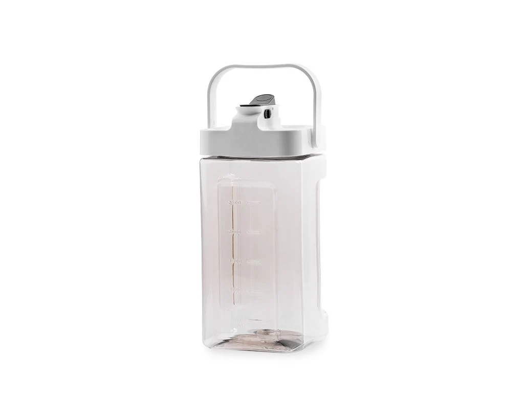 Miniatyr 1